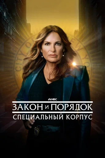 Постер фильма «Закон и порядок. Специальный корпус»