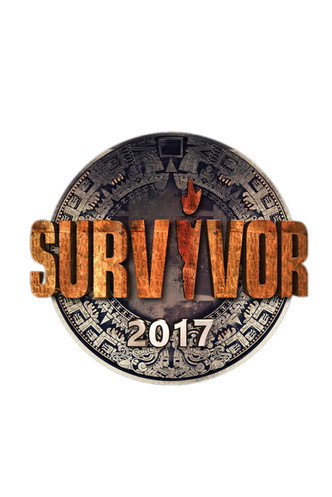 Постер фильма «Survivor»