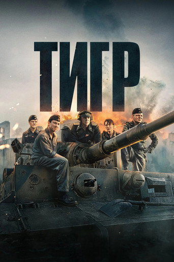 Постер фильма «Тигр»