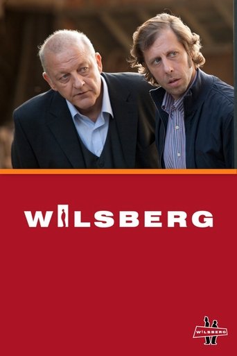 Постер фильма «Wilsberg»