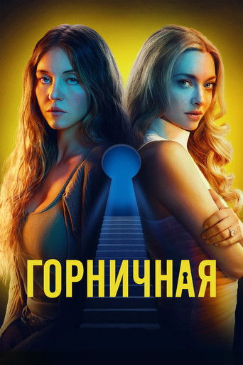 Постер фильма «Горничная»