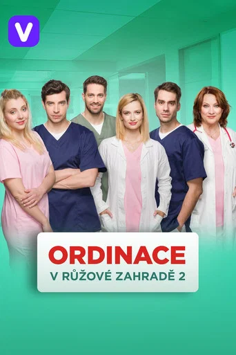 Постер фильма «Ordinace v růžové zahradě»