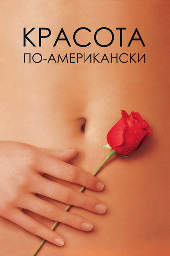 Постер фильма «Красота по-американски»