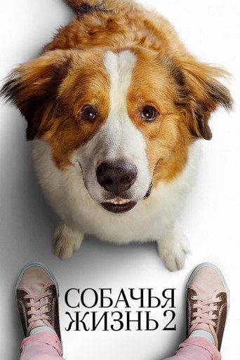 Постер фильма «Собачья жизнь 2»