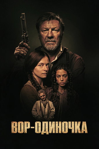 Постер фильма «Вор-одиночка»