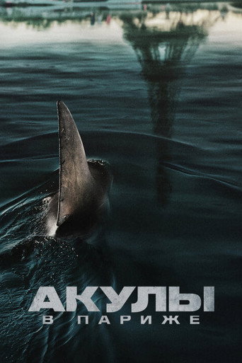 Постер фильма «Акулы в Париже»
