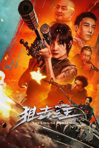 Постер фильма «狙击之王：暗杀»