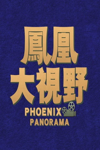 Постер фильма «凤凰大视野»
