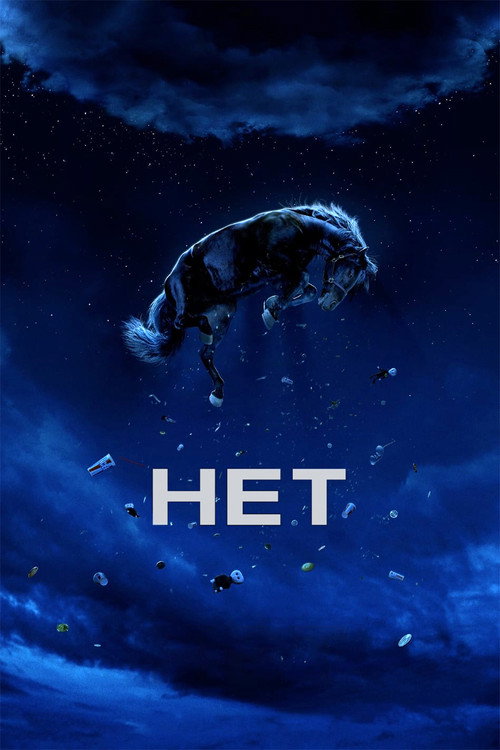 Постер: Нет