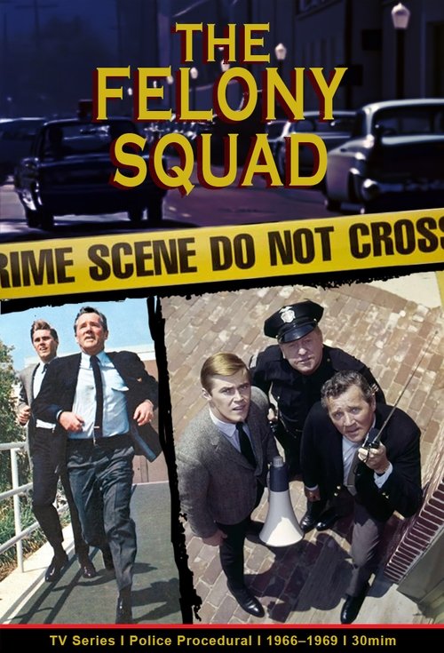 Постер: Felony Squad