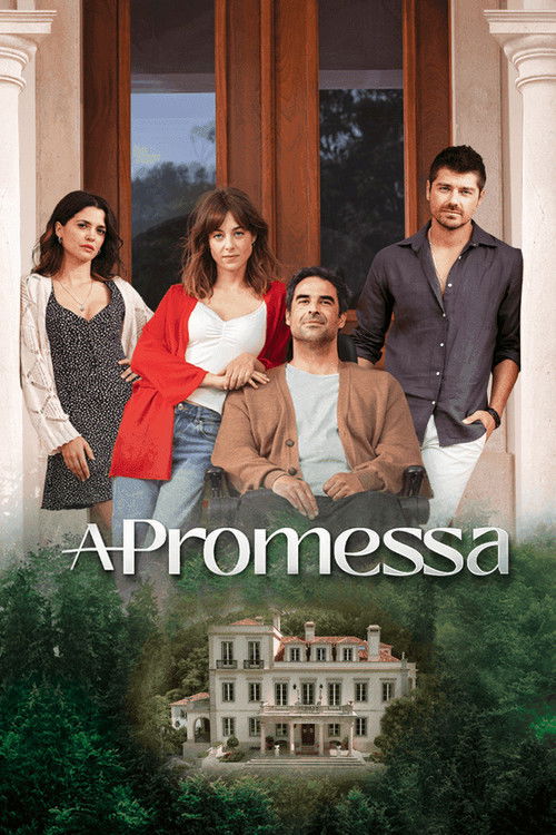 Постер: A Promessa
