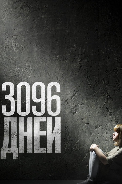 Постер: 3096 дней