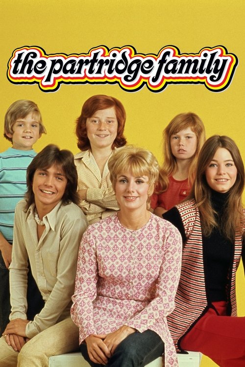 Постер: The Partridge Family