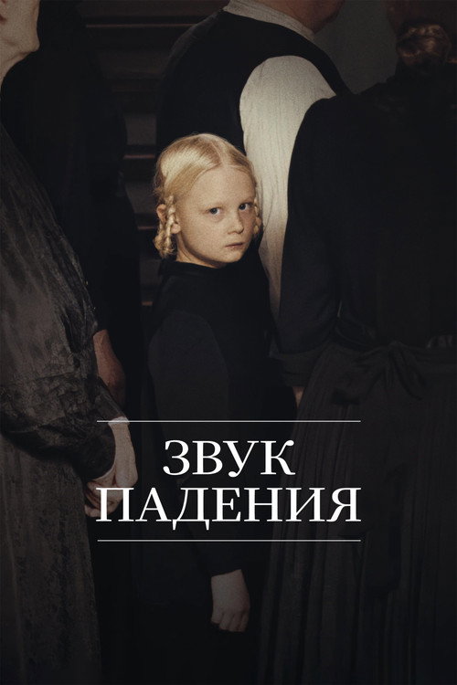 Постер: Звук падения