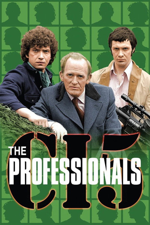 Постер: The Professionals