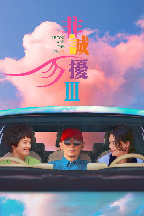 Постер: 非诚勿扰3
