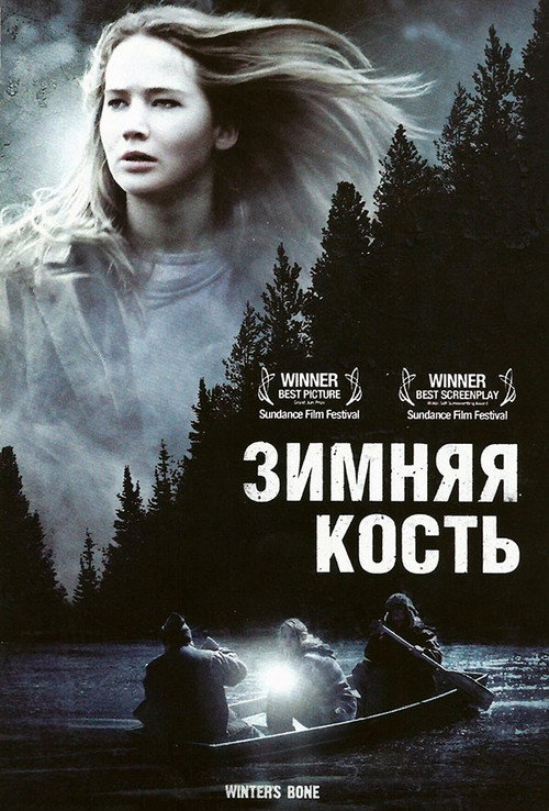 Постер: Зимняя кость