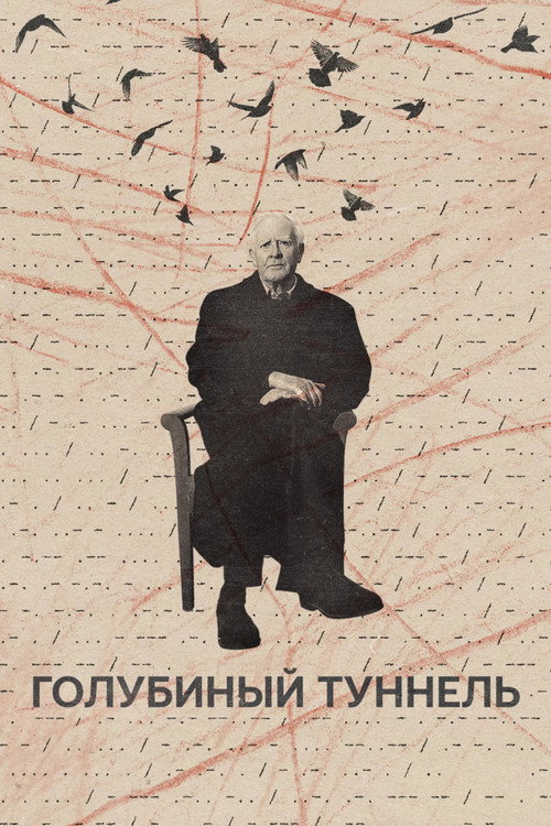 Постер: Голубиный туннель