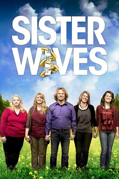 Постер: Sister Wives