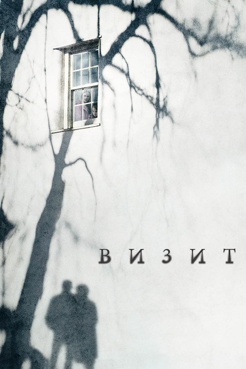Постер: Визит