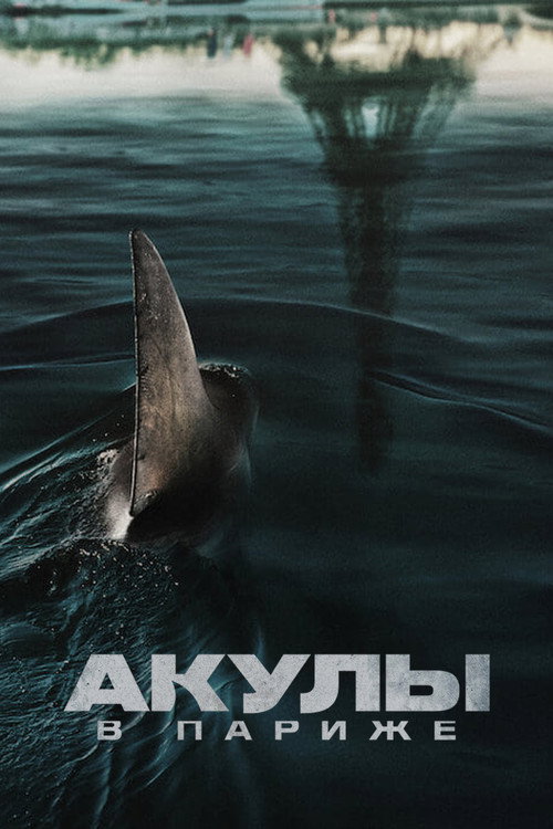 Постер: Акулы в Париже