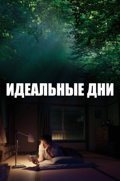 Постер: Идеальные дни