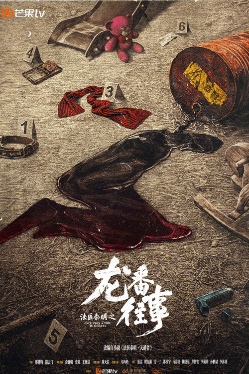 Постер: 法医秦明之龙番往事