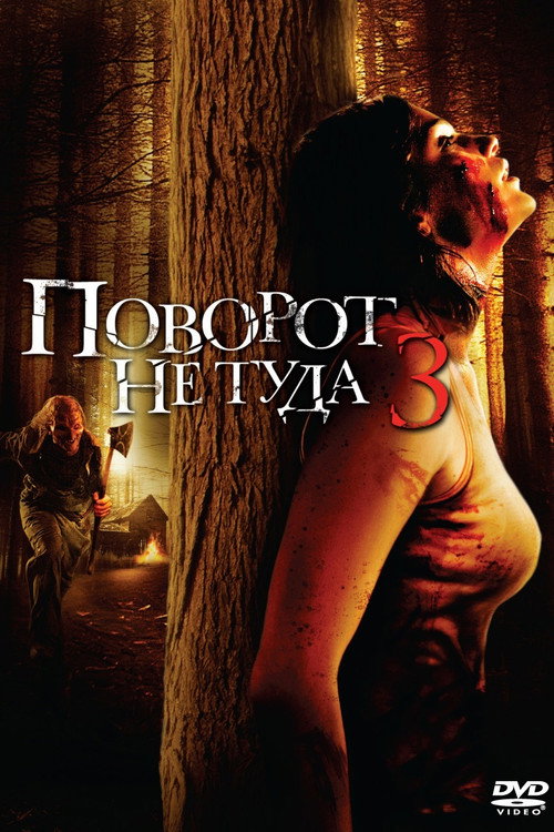 Постер: Поворот не туда 3