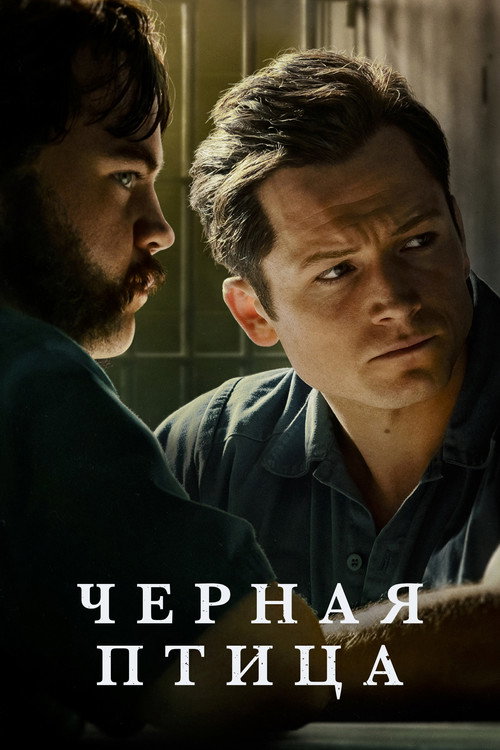 Постер: Черная птица